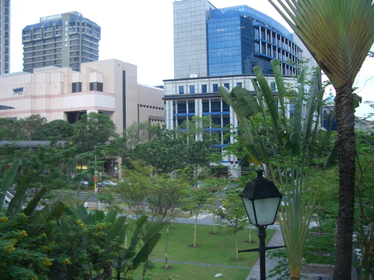 a lamp post and a street light in front of some tall buildings