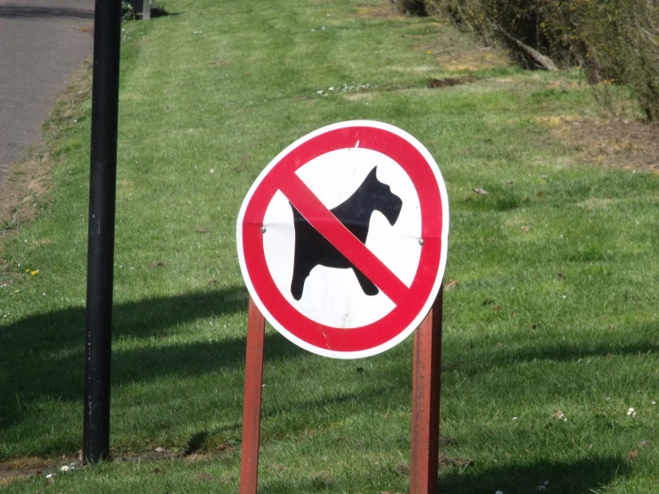 a sign on a signpost in the grass with a black dog sitting in the sign