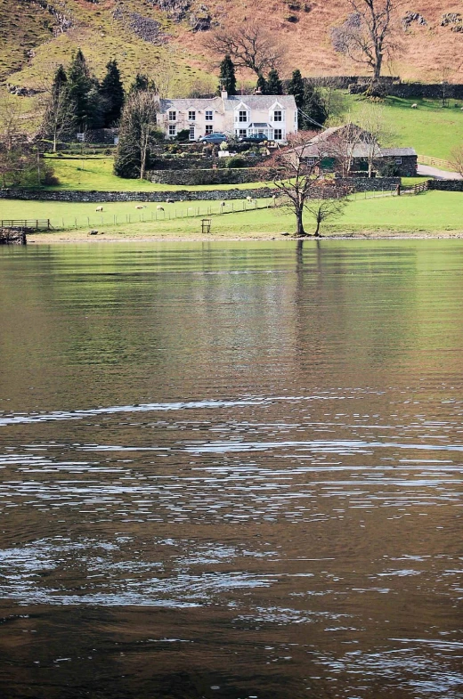 the tree is in the lake by the house