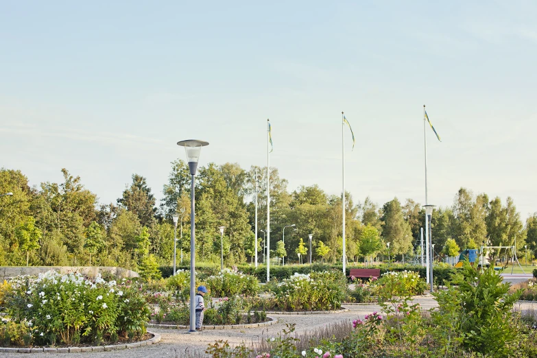 several flags are flying high on poles at an outdoor park