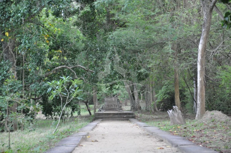 a park area that includes a walkway through the woods