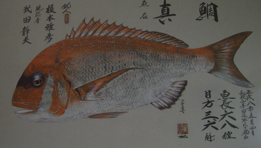 a drawing of a fish with asian writing