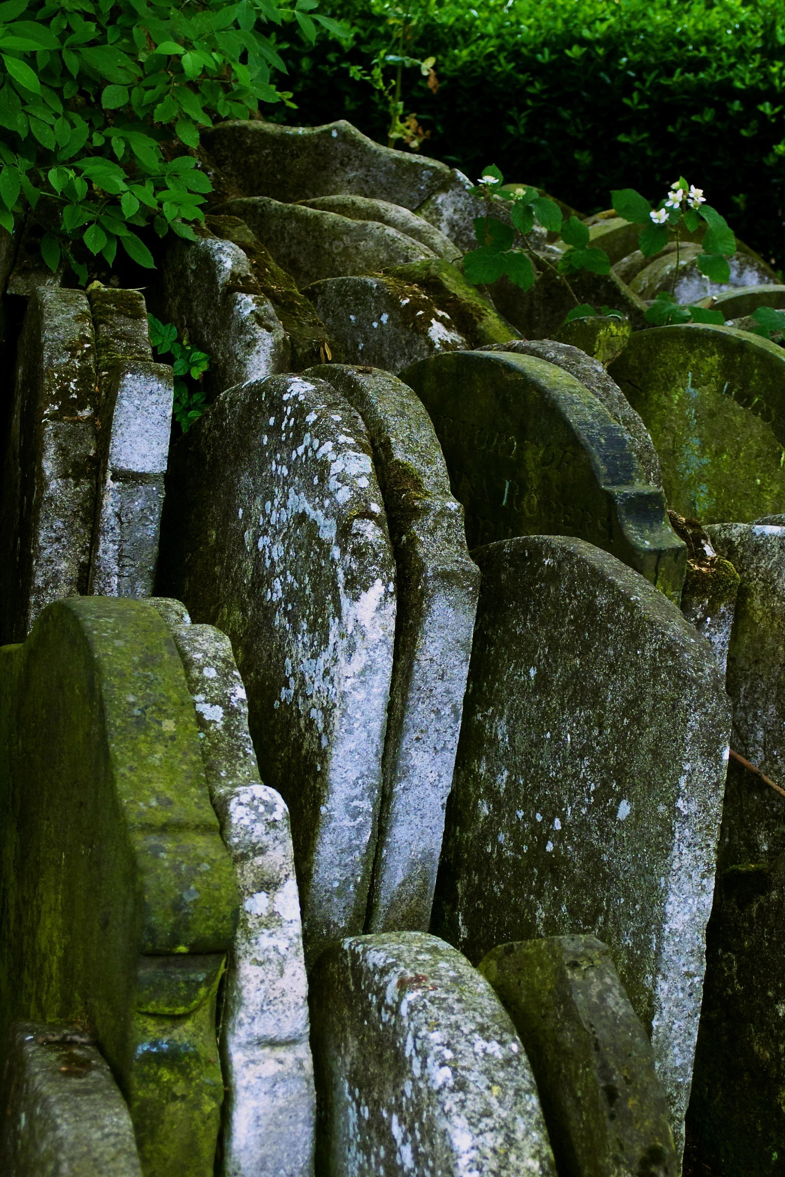 an image of many large rocks with moss growing on them