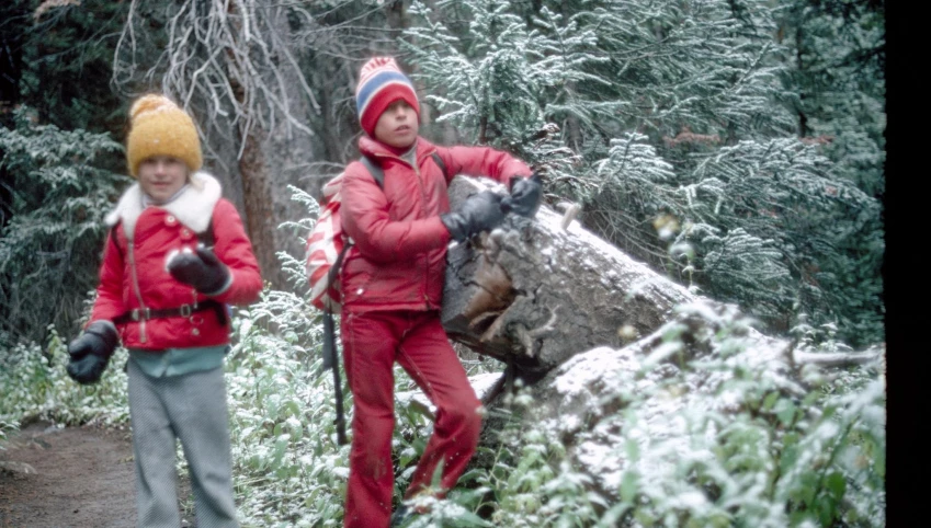 two people with ski poles stand in a snowy forest