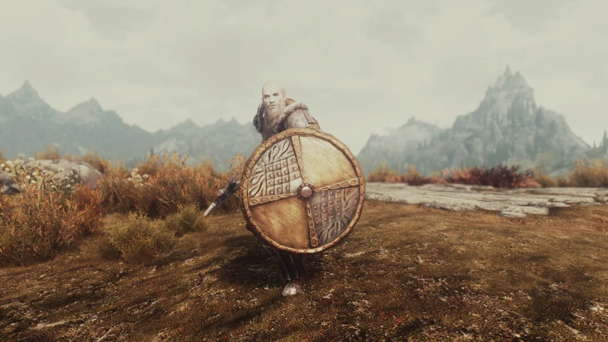 a wooden shield with a large shield sitting on top of it