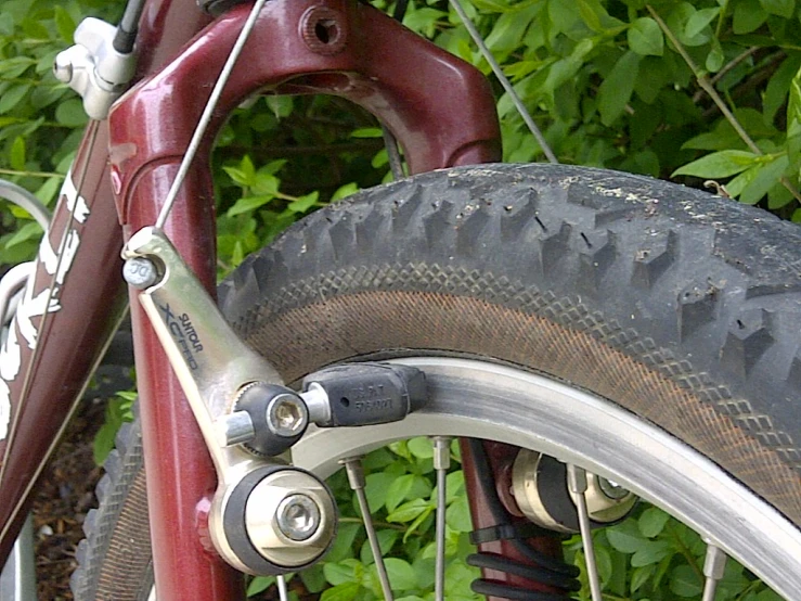 a bike tire with some clippings is seen from below