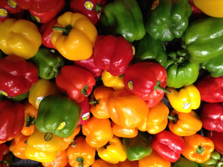 a colorful display of peppers in multiple colors