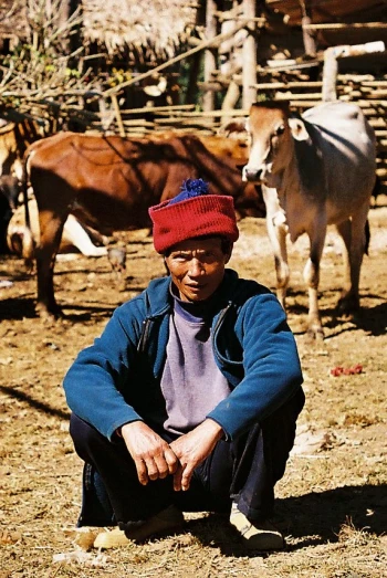 a man sits on the ground in front of some cattle