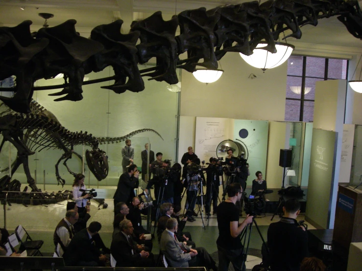 the skeleton of a dinosaur at the museum is set up