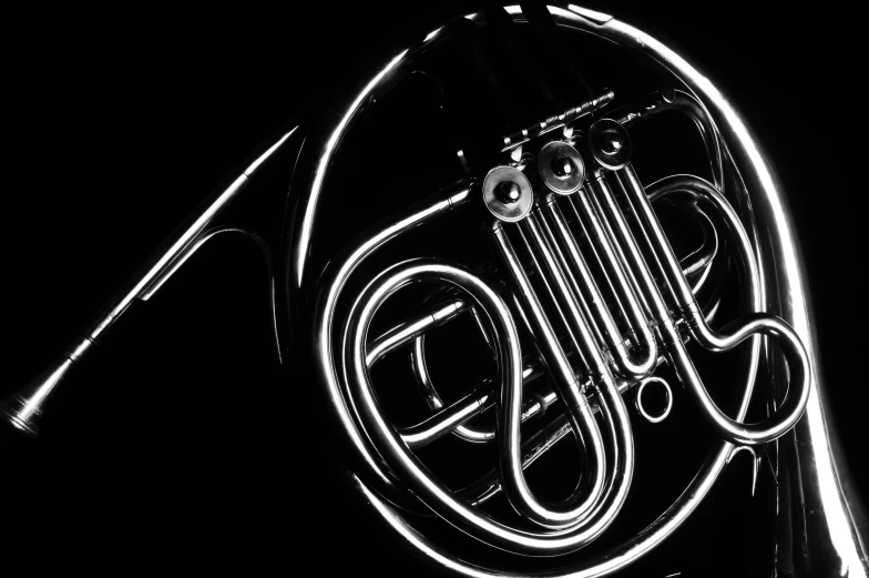 black and white pograph of a french horn