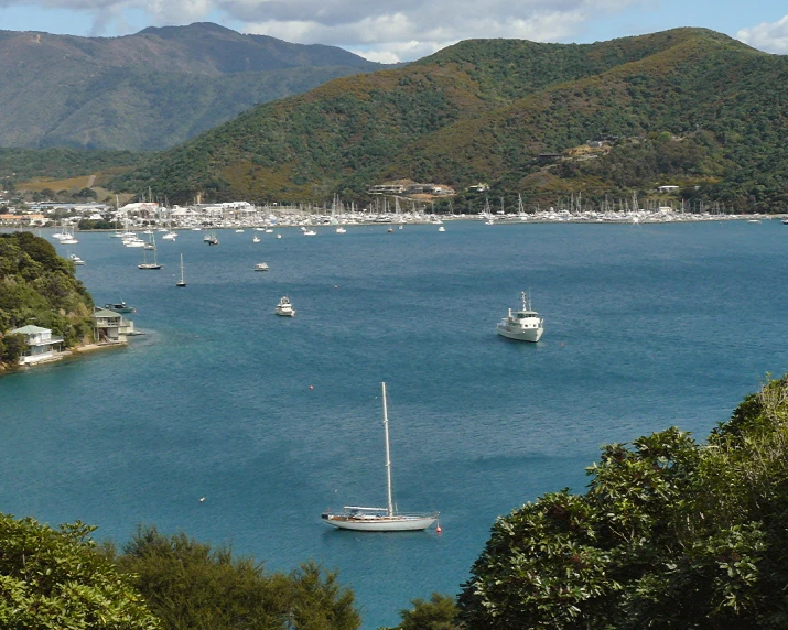 several sail boats are docked in the bay at low tide