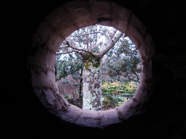 a round hole of an old looking structure with trees in the background