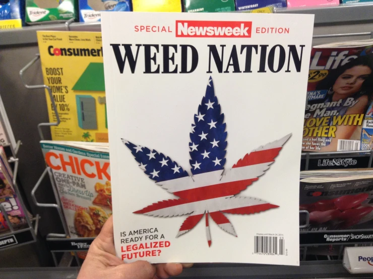 someone holding a magazine with a marijuana leaf in front of them