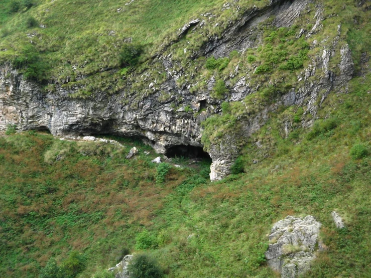 an area with some grass and some small rocks