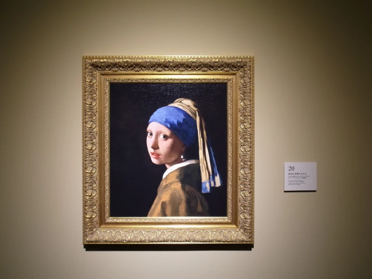 a painting of a girl with a pearl earring