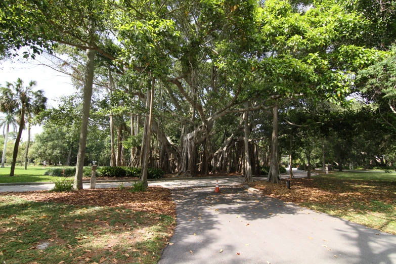 a small pathway next to a sidewalk in a park