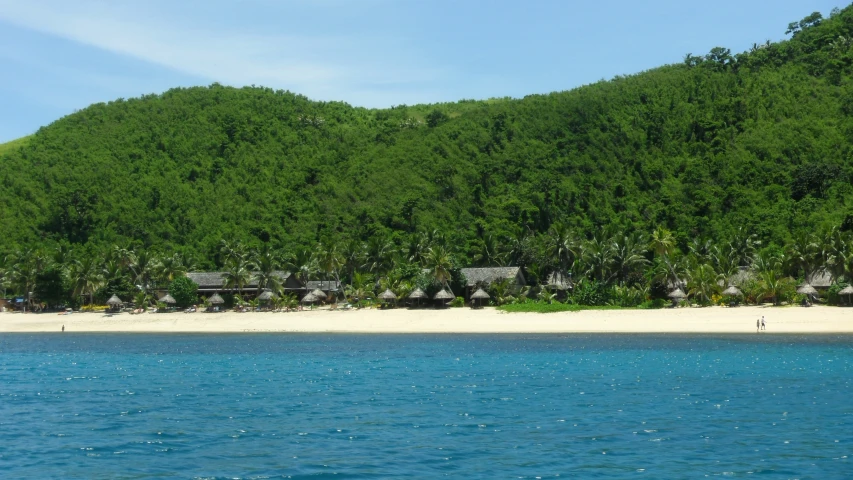 beach with green trees and people near water