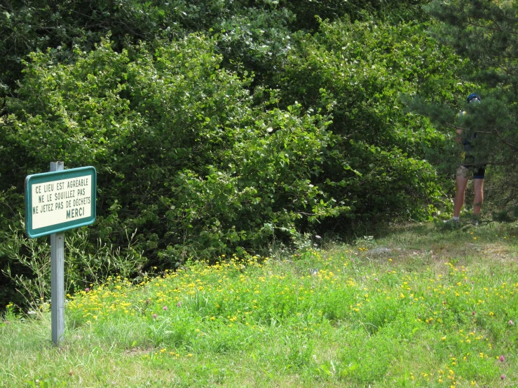 a sign in the grass near some trees