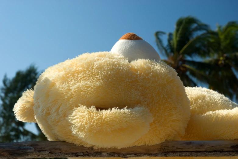 a teddy bear laying down on top of a wooden post