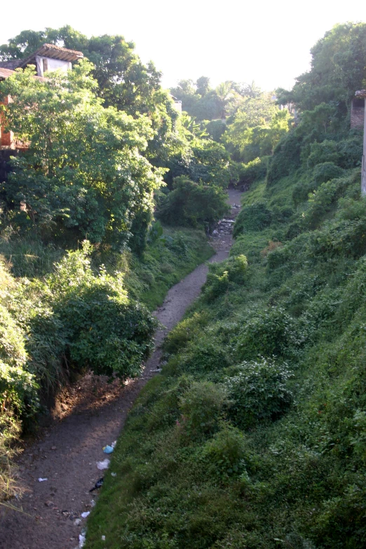 the road on the side is dirt and has grass growing over it