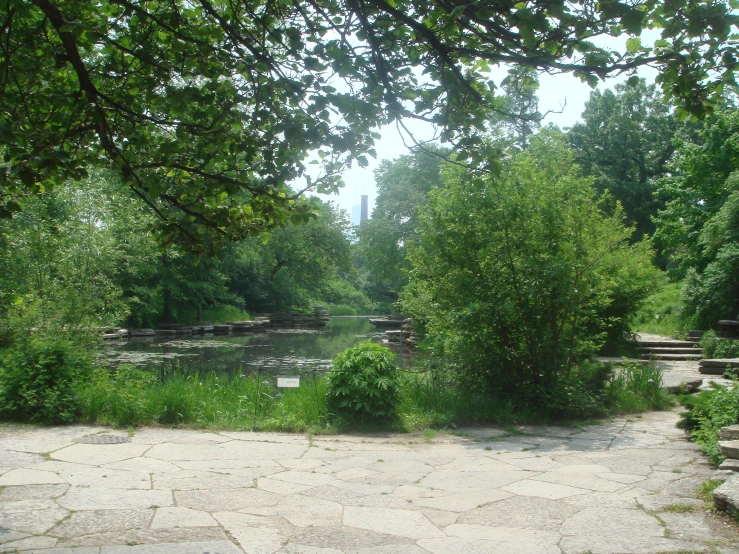 a bench overlooks water and green foliage