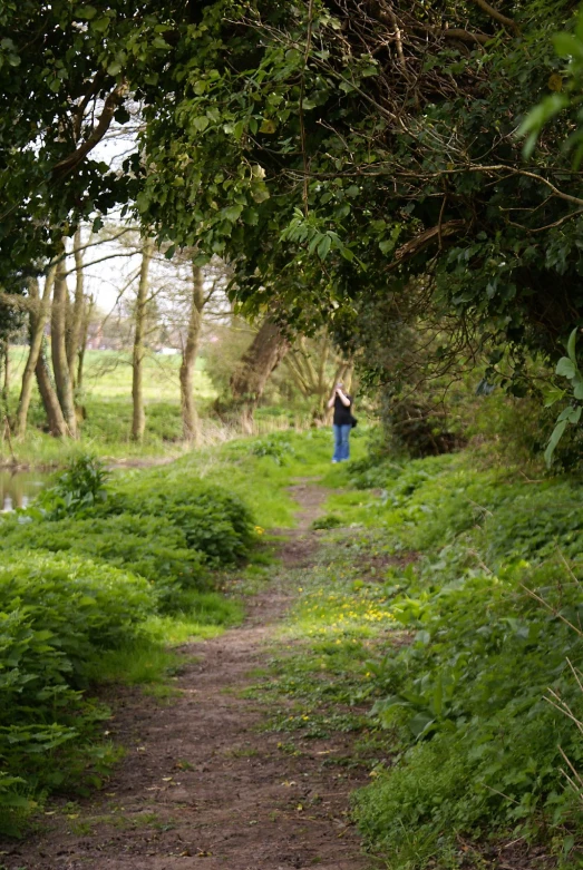 a person with a camera taking pictures in the woods