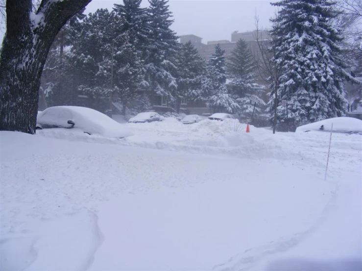 a street is covered in snow as vehicles sit parked on the street