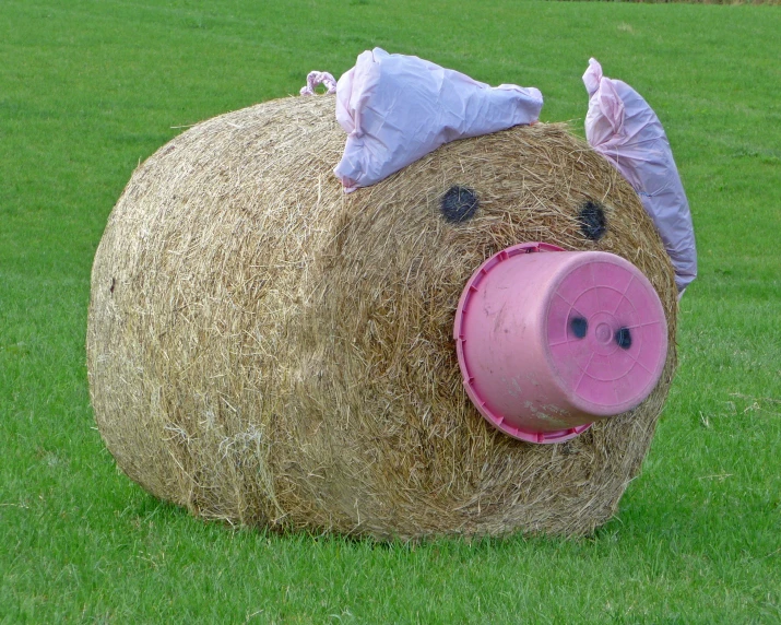 a pig that is laying on top of hay