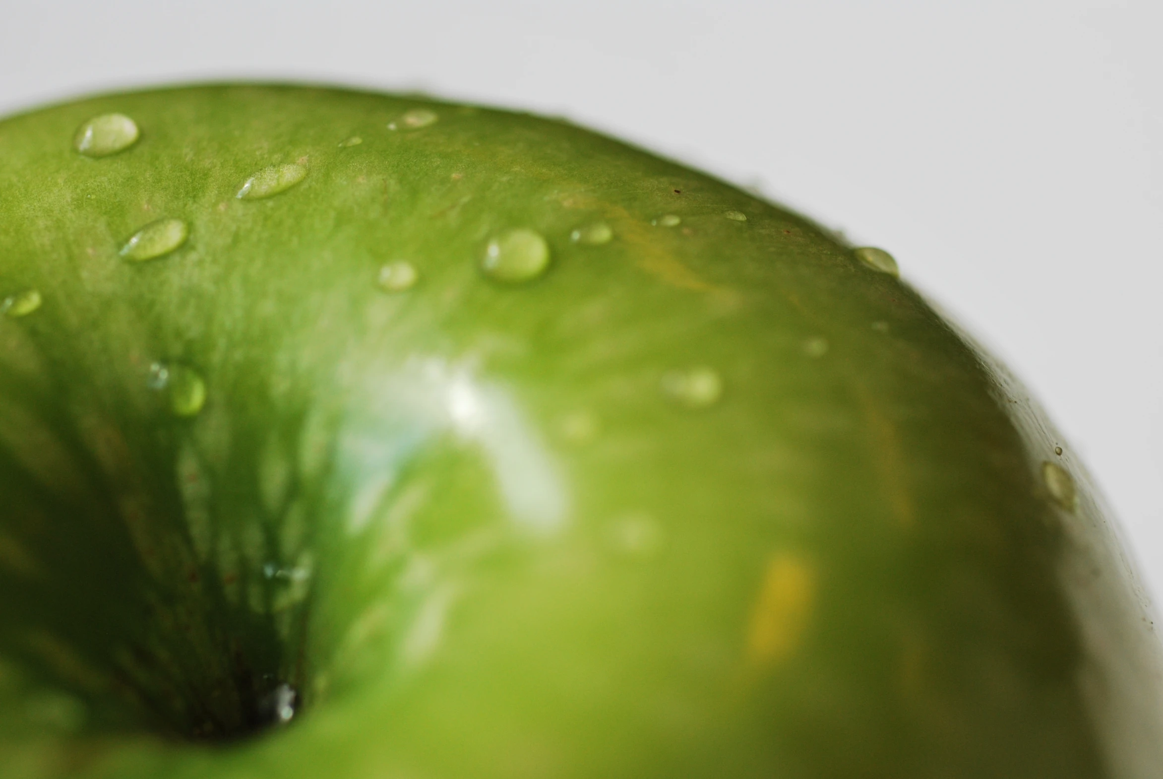 a green apple is sitting with water droplets