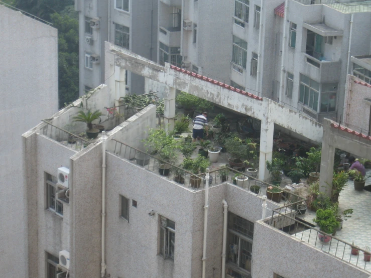 two large buildings with plants in them on a balcony