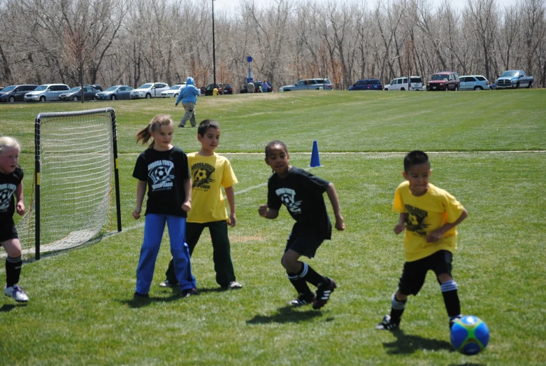 several children playing soccer in a grassy field