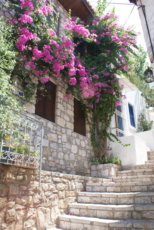 a view of flowers near a window and a railing