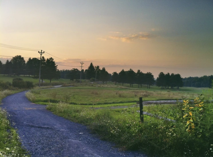 a road that runs in to a field near trees