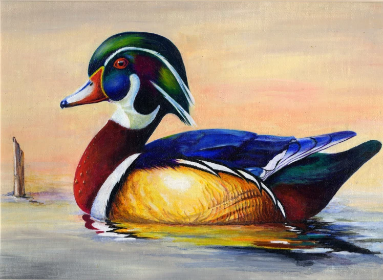 this painting shows a colorful wood duck in water