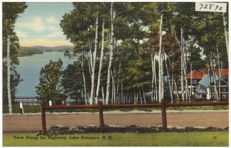 the view of a lake with white trees on it