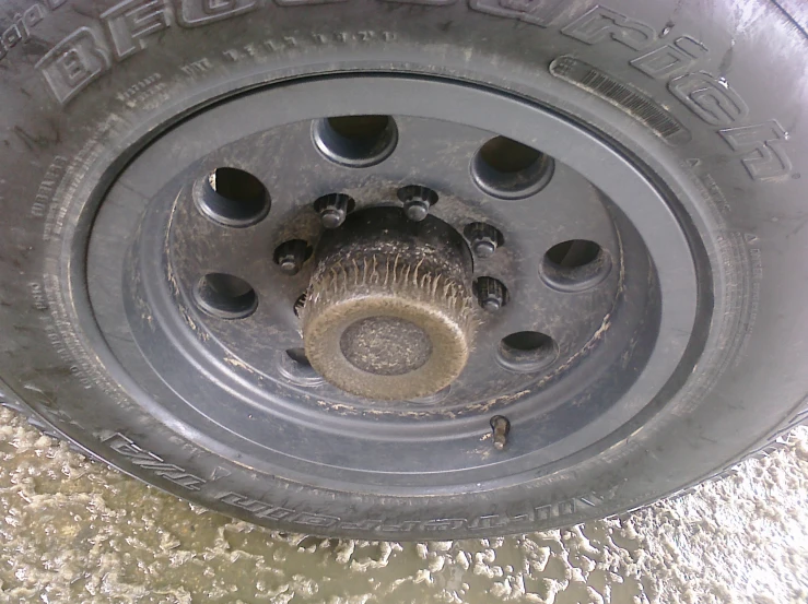 an elephant standing under a tire on a road