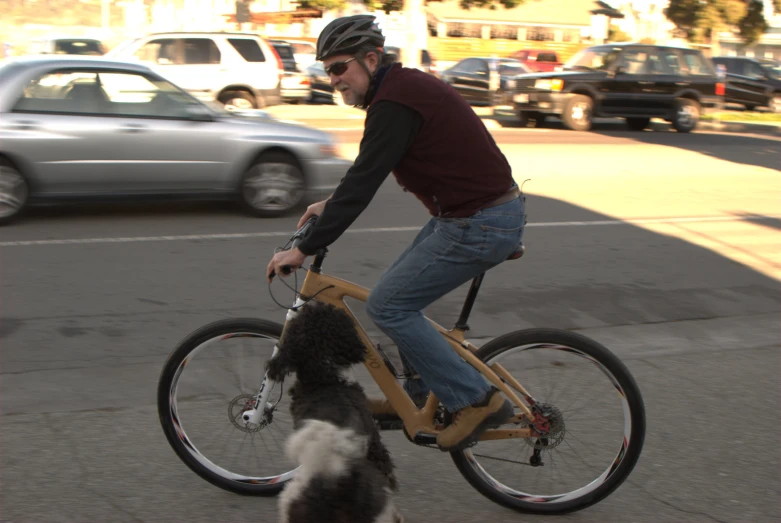 a guy riding a bike while a dog watches