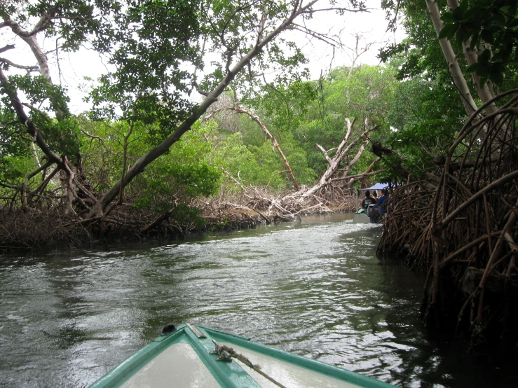 a boat is going down the river by some trees