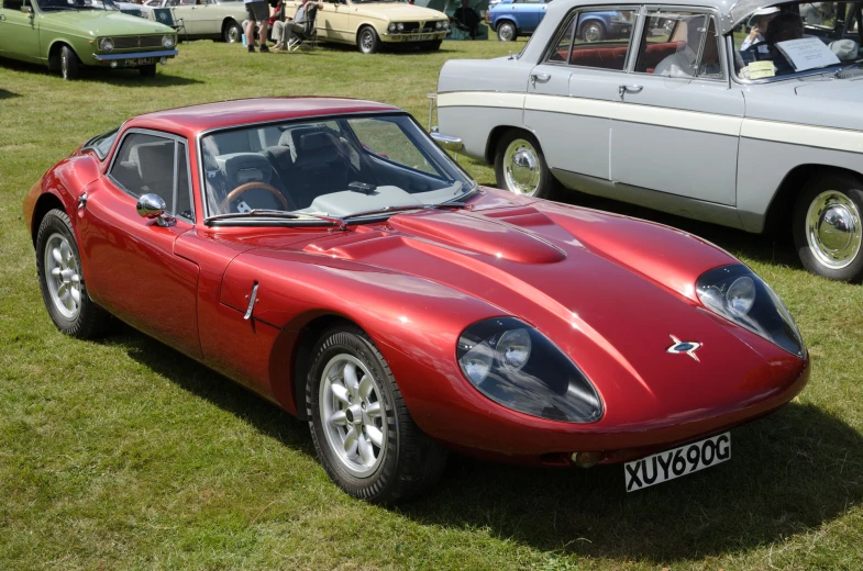 a car sits in the grass beside other cars