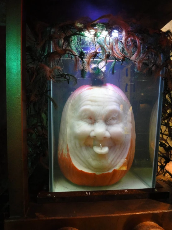 some fake pumpkins are in a display case