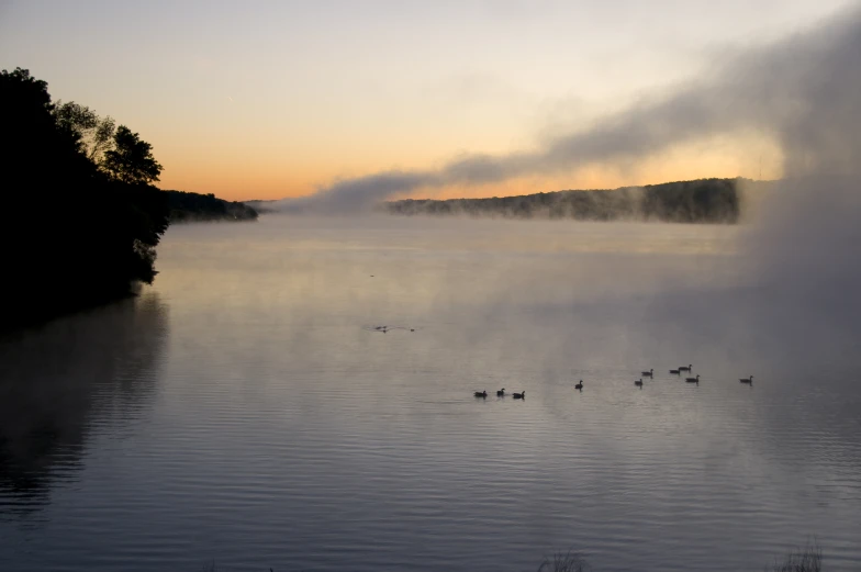 ducks are swimming on the water at sunrise