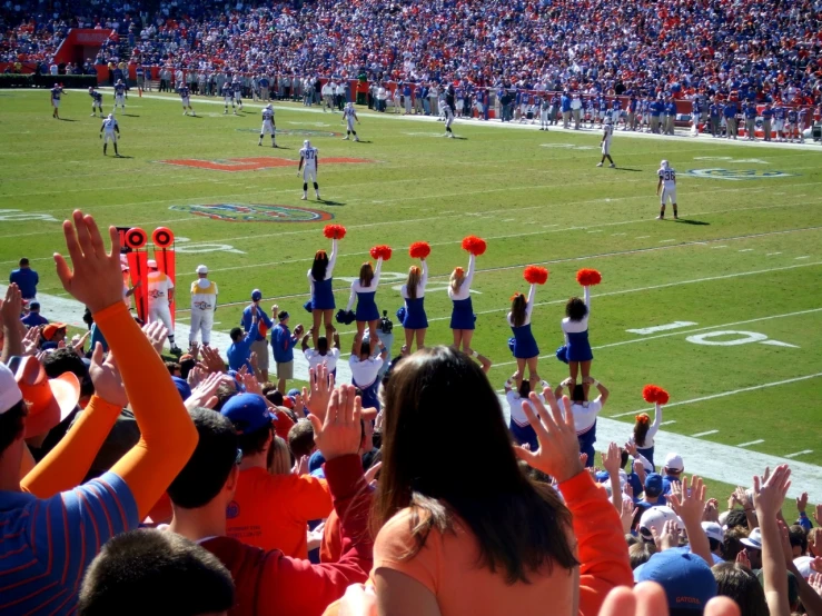 a group of people in a stadium with flowers in their hair