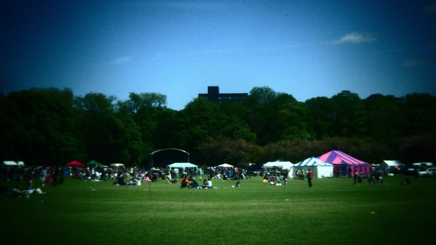 a crowd of people standing on a lush green field