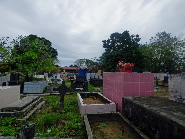 the old cemetery is overgrown with trees and flowers