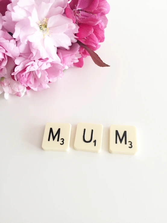 a pink flower sits next to two scrabble type words