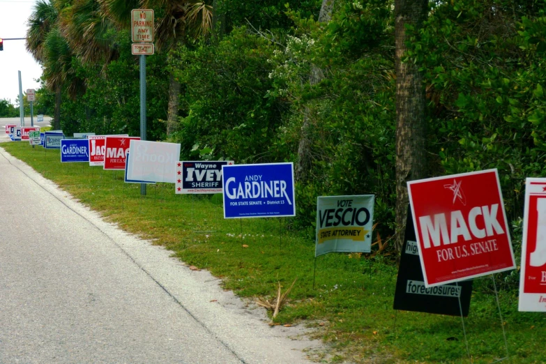 many political signs are lined up along the side of the road