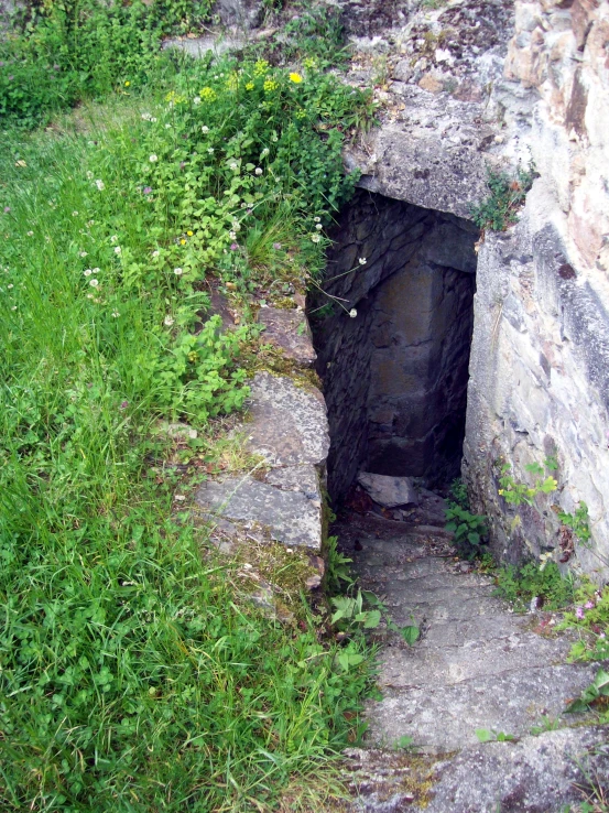 a wall with a tunnel inside and grassy field