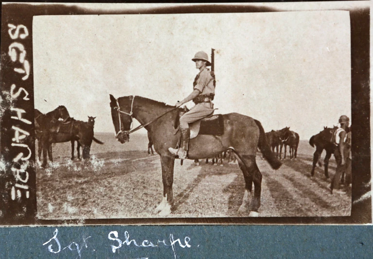 an old po shows a man on a horse, surrounded by other horses