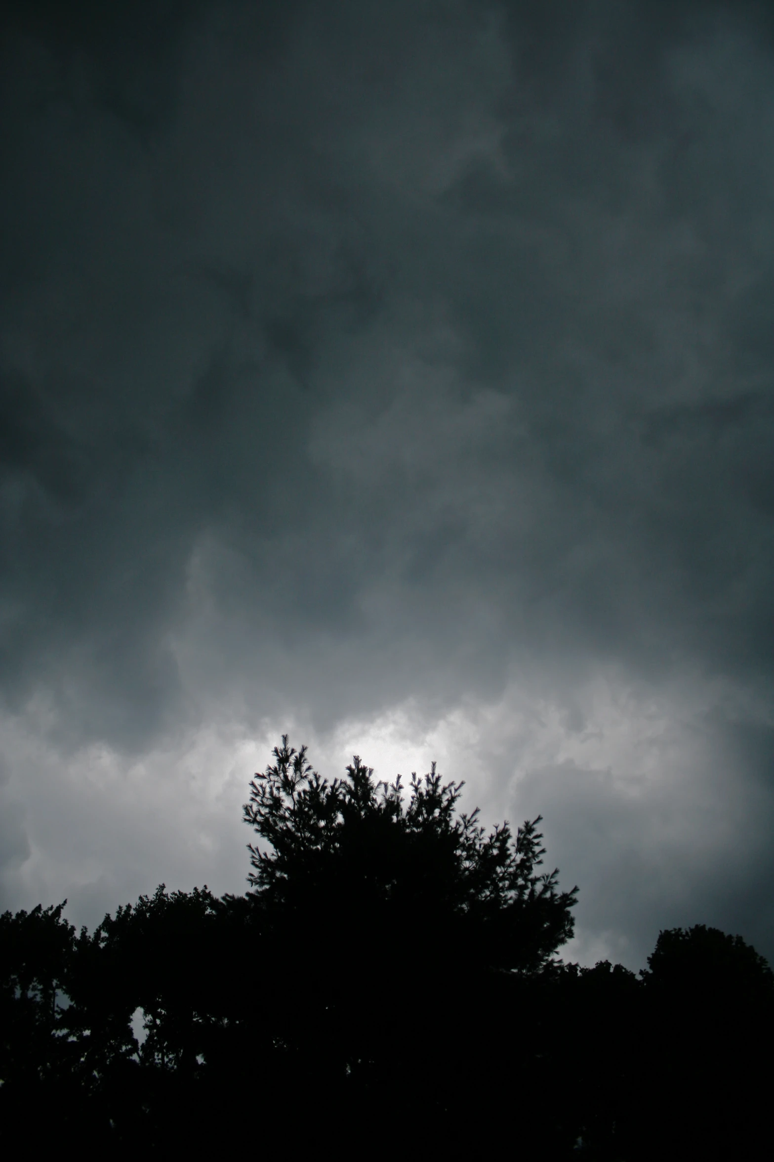 a tree is in the foreground with heavy clouds above