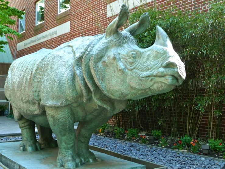 there is a statue of a rhinoceros on the steps